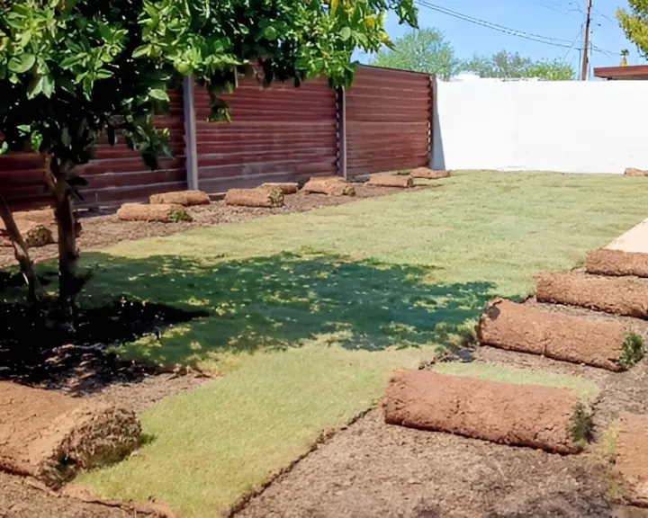 Rolls of fresh green sod being installed in a Tucson backyard