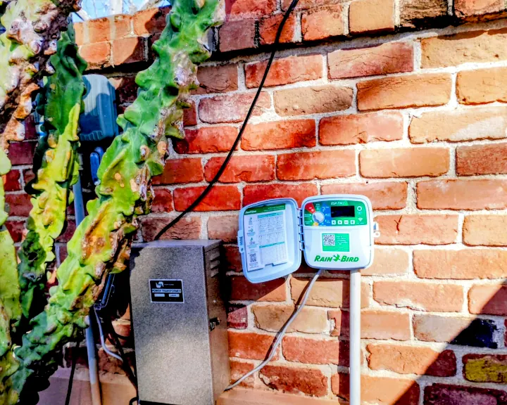 Backyard irrigation system with shrubs and plants in Scottsdale