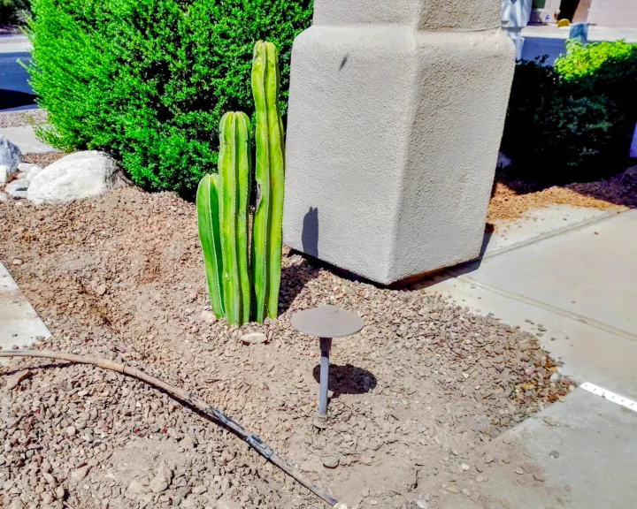 Front yard irrigation system installation in Scottsdale, AZ